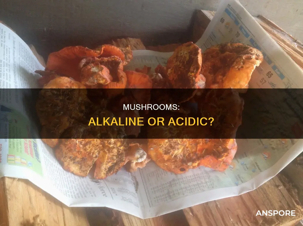 do mushrooms contain alkaline