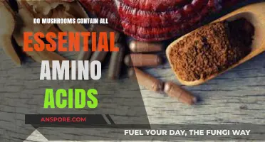Mushrooms and Amino Acids: Do They Contain All Essentials?