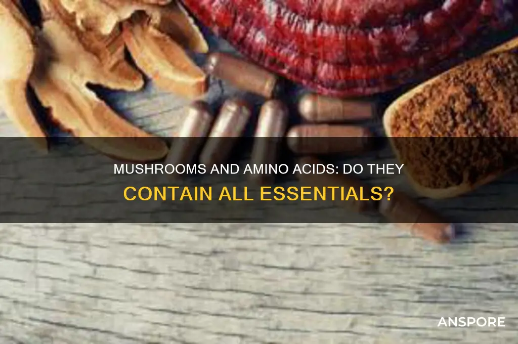 do mushrooms contain all essential amino acids