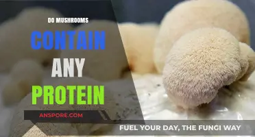 Mushrooms: A Surprising Source of Protein?