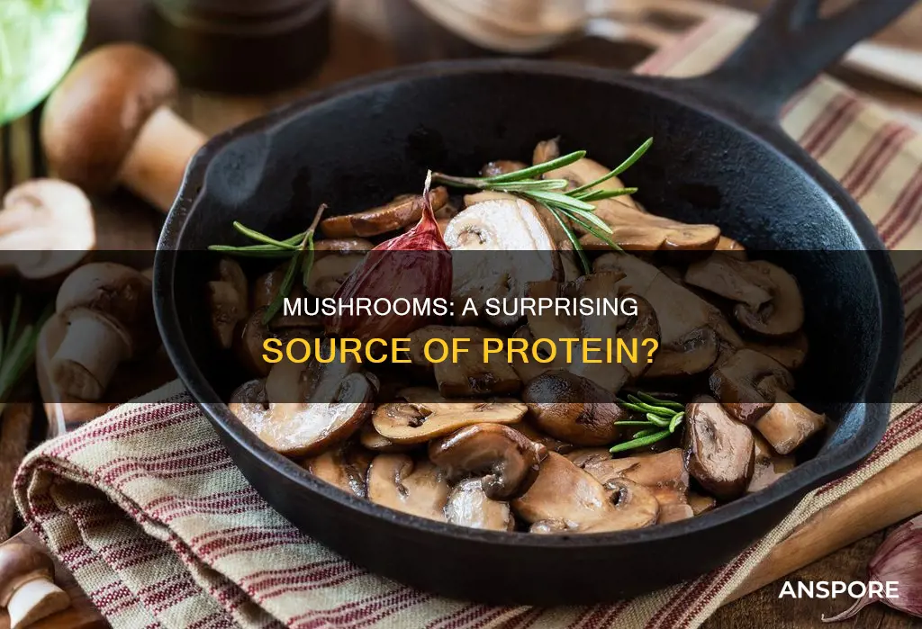 do mushrooms contain any protein