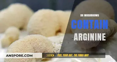 Mushrooms and Arginine: What's the Connection?