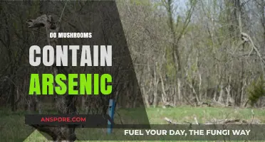 Mushrooms and Arsenic: A Toxic Relationship