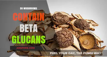 Mushrooms: Beta-Glucans and Their Benefits