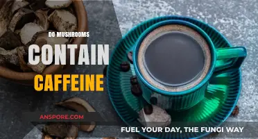Mushrooms and Caffeine: What's the Deal?