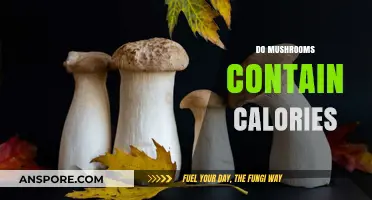 Mushrooms: Nutritional Powerhouse or Calorie-Free Delight?