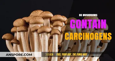 Mushrooms: Carcinogens or Not?
