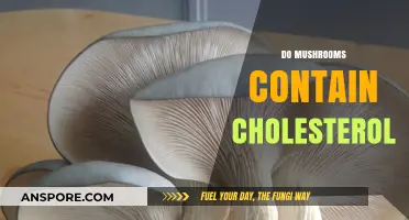 Mushrooms: The Cholesterol-Free Superfood