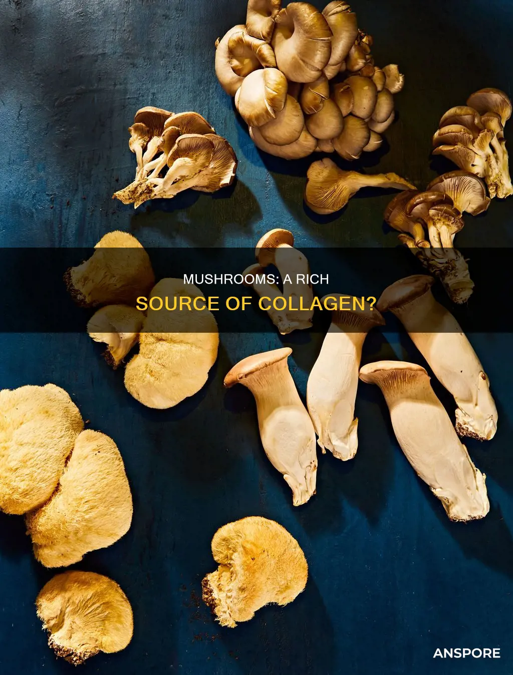 do mushrooms contain collagen