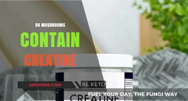 Mushrooms and Creatine: Are They Compatible?