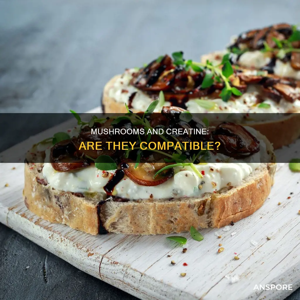 do mushrooms contain creatine