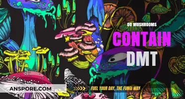 Mushrooms and DMT: What's the Connection?