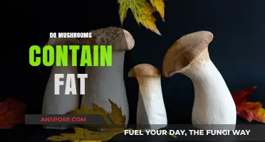 Mushrooms: Are They Fat-Free?
