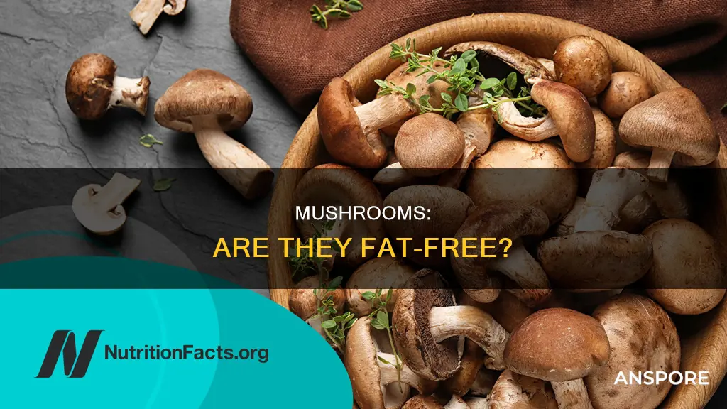 do mushrooms contain fat