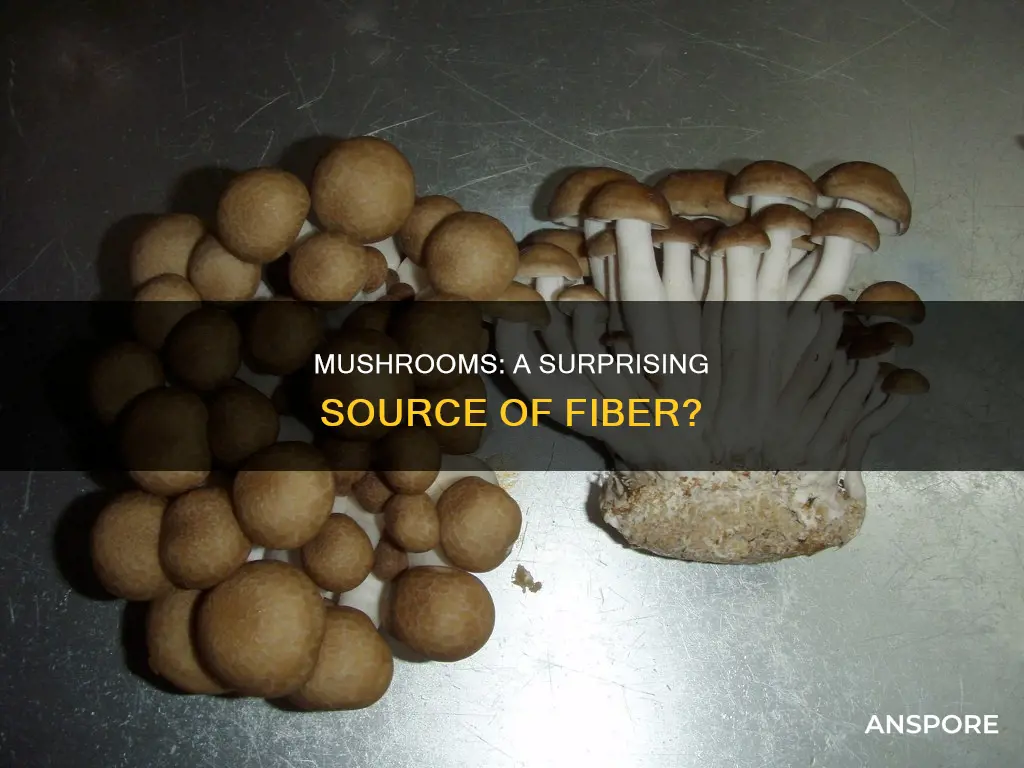 do mushrooms contain fiber