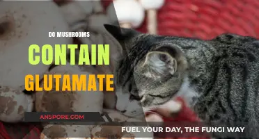 Mushrooms: A Rich Source of Glutamate?