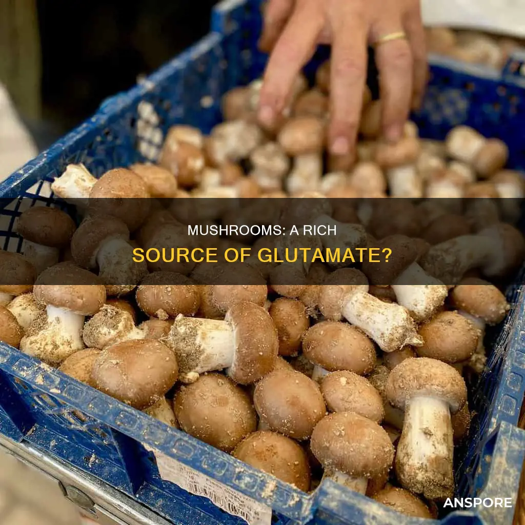 do mushrooms contain glutamate