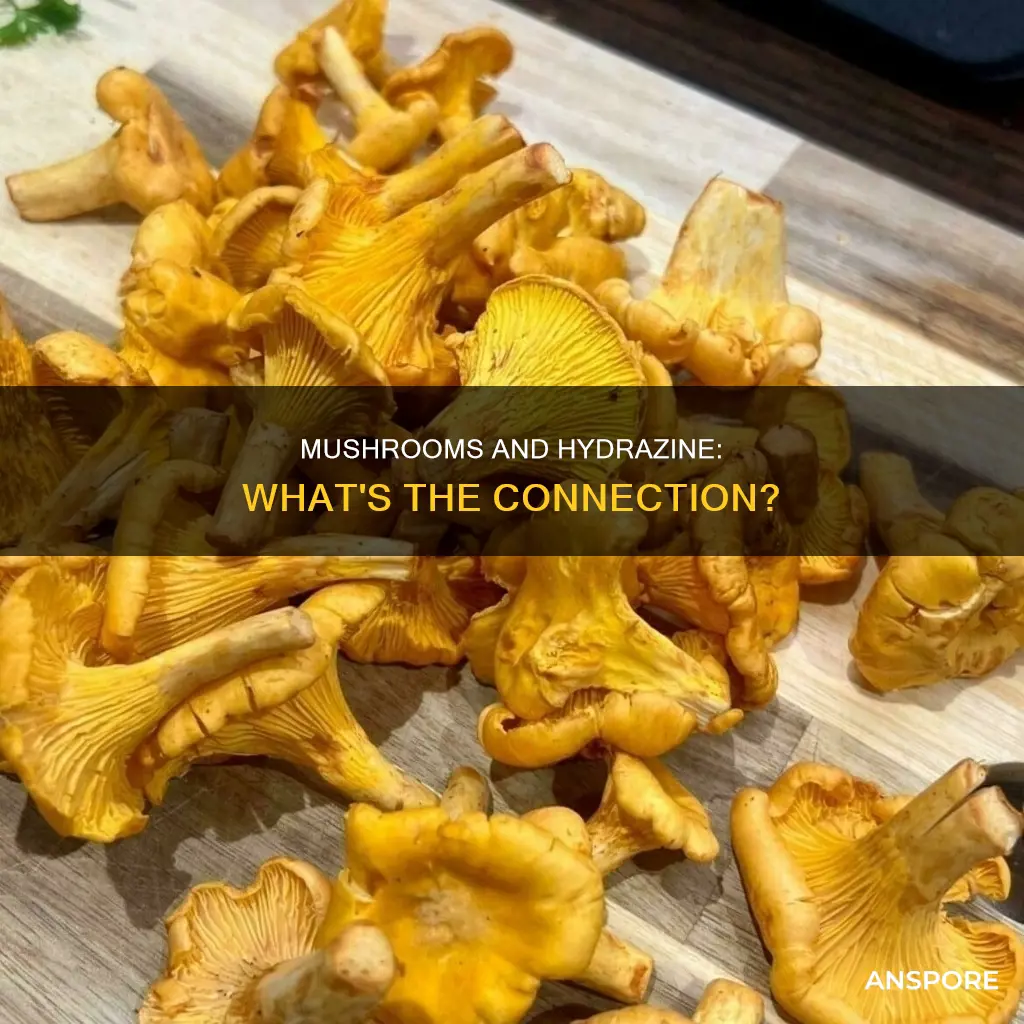 do mushrooms contain hydrazine