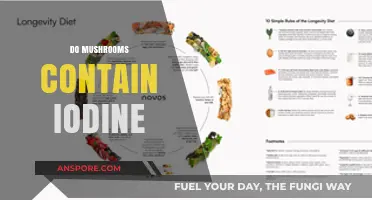 Mushrooms: A Rich Iodine Source?