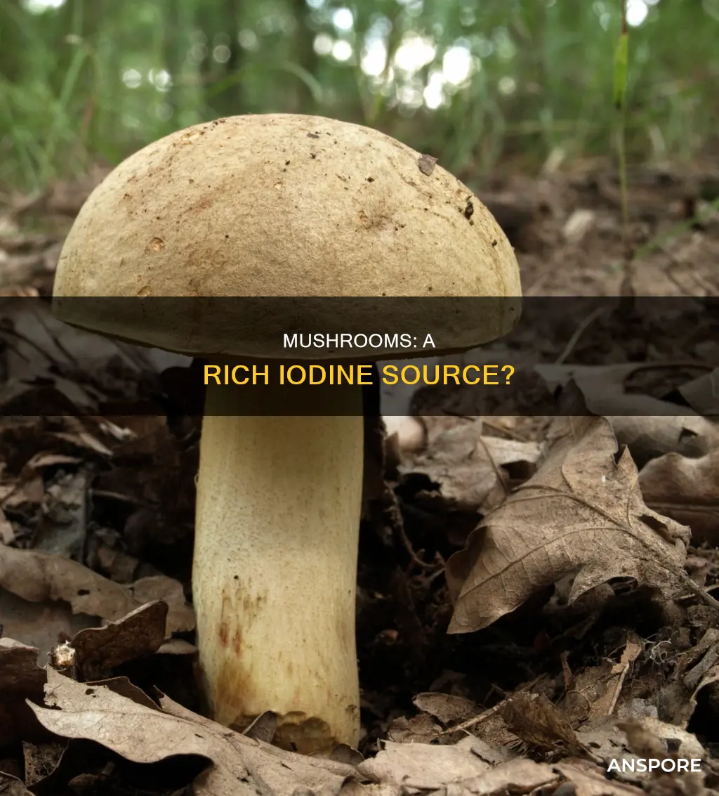 do mushrooms contain iodine