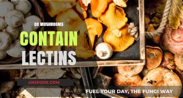 Mushrooms and Lectins: What's the Connection?