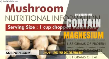 Mushrooms: A Rich Source of Magnesium?