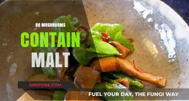 Mushroom Mystery: Malt Content in Mushrooms?