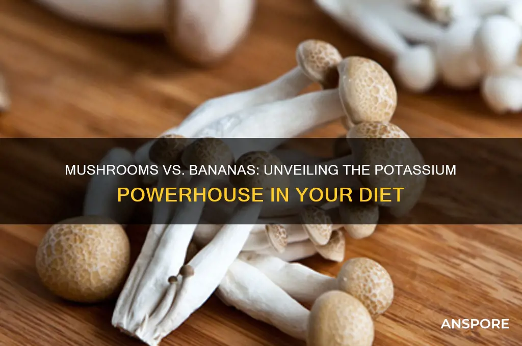 do mushrooms contain more potassium than bananas