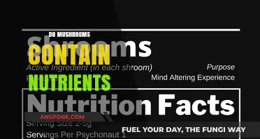 Mushrooms: A Nutritional Powerhouse?