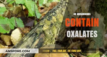 Mushrooms and Oxalates: What's the Connection?