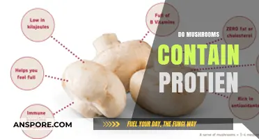 Mushrooms: A Surprising Source of Protein?