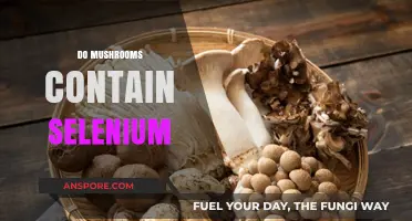 Mushrooms and Selenium: A Nutritional Mystery