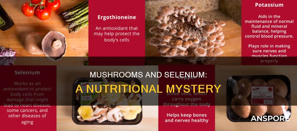 do mushrooms contain selenium