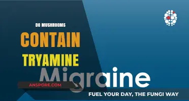 Mushrooms and Tyramine: What You Need to Know