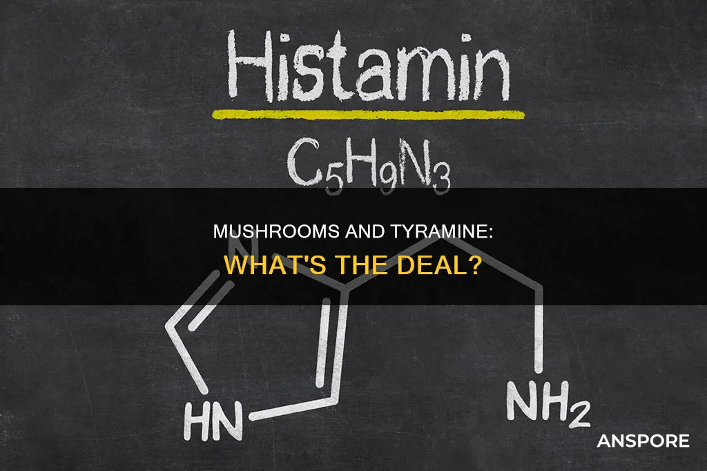 do mushrooms contain tyramine