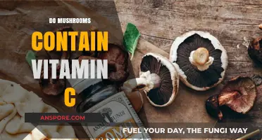 Mushrooms: A Source of Vitamin C?