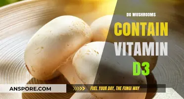 Mushrooms: Nature's Source of Vitamin D3