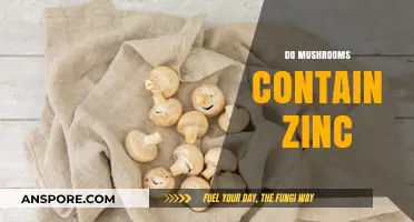 Mushrooms: A Zinc-Rich Superfood?
