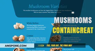 Mushrooms and Creatine: Do Fungi Have It?