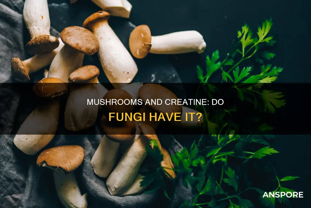 do mushrooms containcreatine