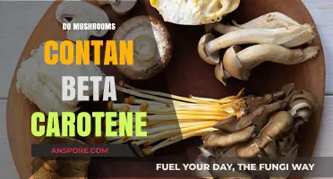 Mushrooms: Beta-Carotene Powerhouses?
