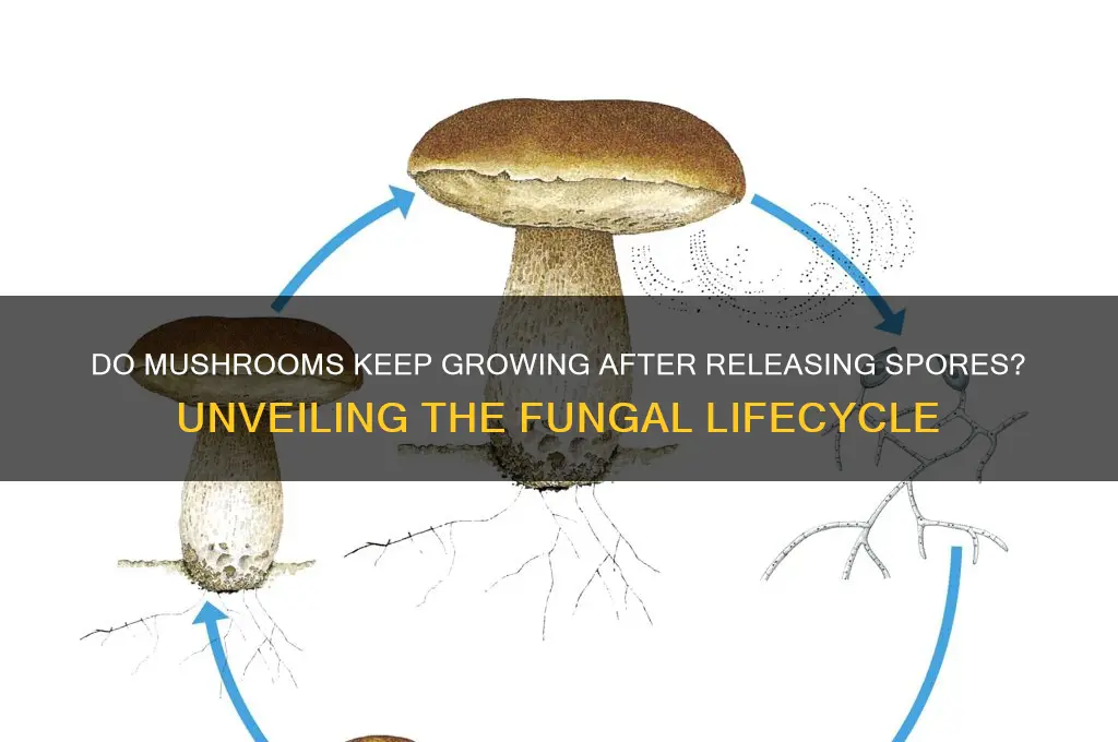 do mushrooms continue to grow after they drop spores