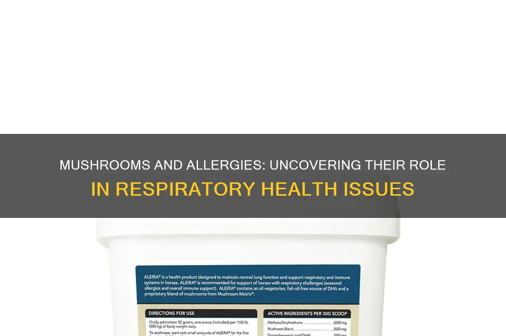 do mushrooms contribute to allergy problems