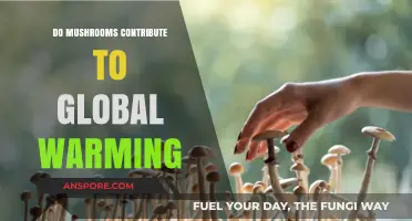 Mushrooms' Role in Climate Change: Do They Fuel Global Warming?