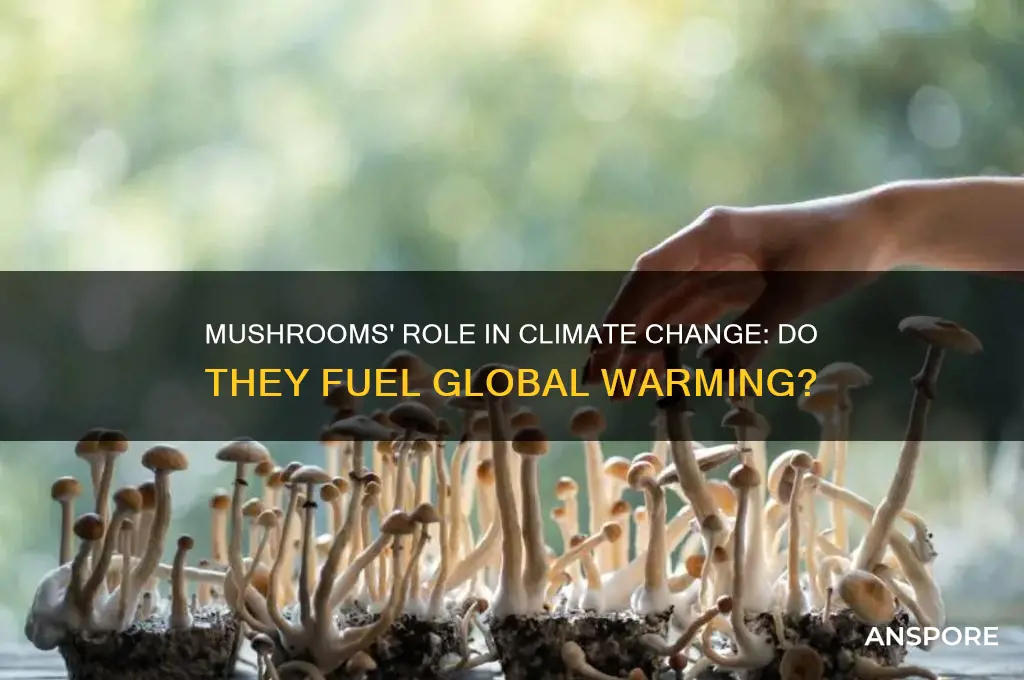do mushrooms contribute to global warming