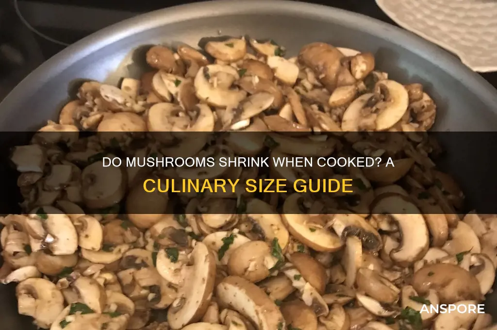 do mushrooms cook down