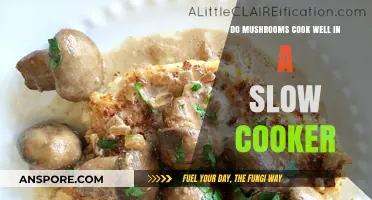 Slow Cooker Mushroom Magic: Tips for Perfectly Cooked Fungi