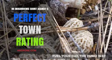 Mushrooms and Perfect Town Ratings: Do They Impact Your Score?
