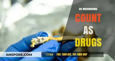 Mushrooms: Are They Drugs or Not?
