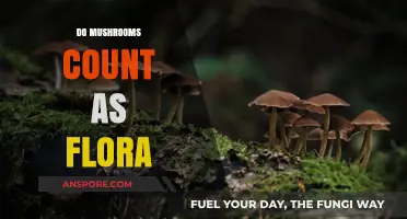 Mushrooms: Flora or Not?